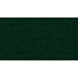 184478 Fekete lucfenyő