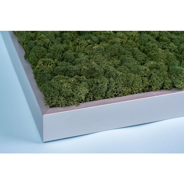 Zuzmó keret 30*30 matt ezüst