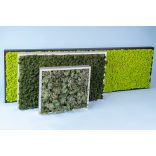 Zuzmó keret 35*65 matt ezüst