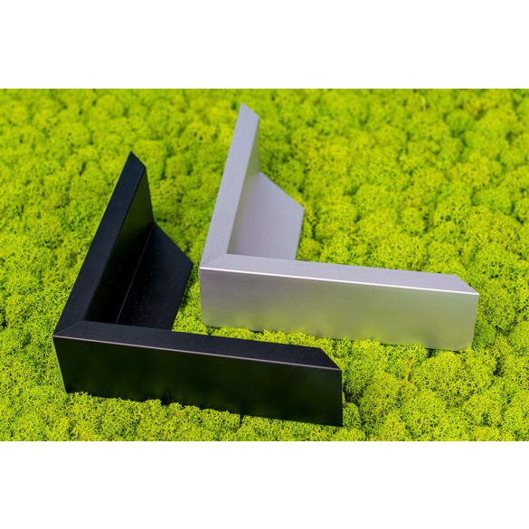 Zuzmó keret 35*65 matt ezüst