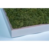 Zuzmó keret 38*38 matt ezüst