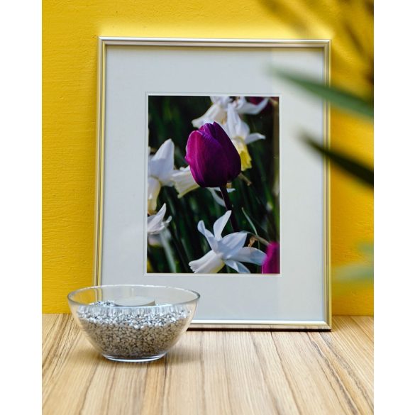 Colorado UNI arany műanyag képkeret 50 x 70 cm